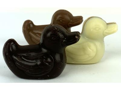 PASEN_2024_BECKY_LOS_BEWERKT