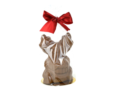 KERST_RUDOLF_VP_1-removebg-preview
