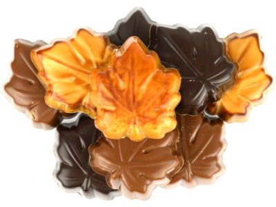 HERFST_BLADM_LOS_1-removebg-preview